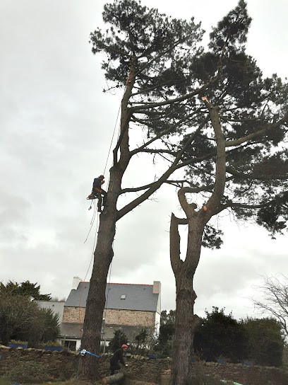 CJS PIQUEREL élagage, Elagueur à Plouhinec