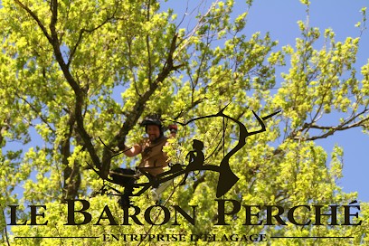 Le baron perché - entreprise d'élagage, Elagueur à Saint-Didier-de-Formans