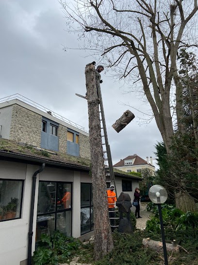 Lagréné Elagage, Elagueur à Rueil-Malmaison