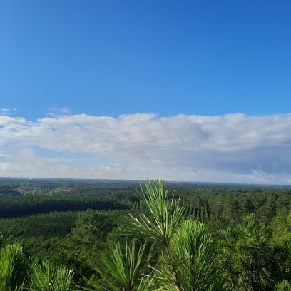 LG élagage, Elagueur à Saint-Martin-d'Oney