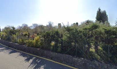 Tree Services / Services Arboricoles, Elagueur au Rouret