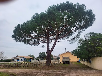 Arbor Elag, Elagueur à Podensac