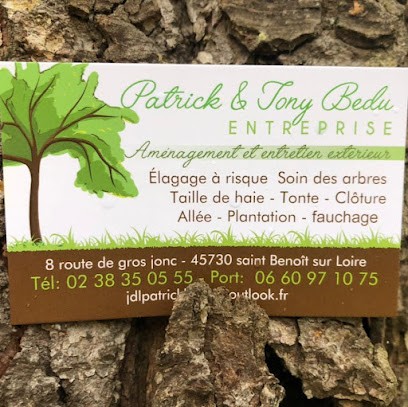 Bedu Patrick, Elagueur à Saint-Benoît-sur-Loire