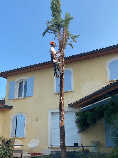 Tony Elagage 69, Elagueur à Meyzieu