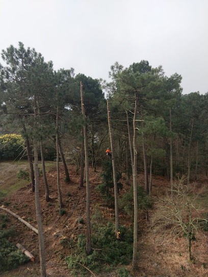 MBW élagage, Elagueur à Montferrand