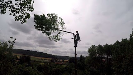 Paysage En Nord, Elagueur à Roncq