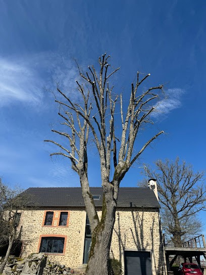 Arbovoltige, Elagueur à Saint-Amand