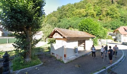 Arboré'Cordes, Elagueur à Sainte-Marie-aux-Mines
