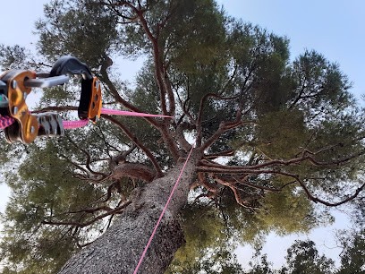 Escal'Arbre Elagage, Elagueur à Martigues