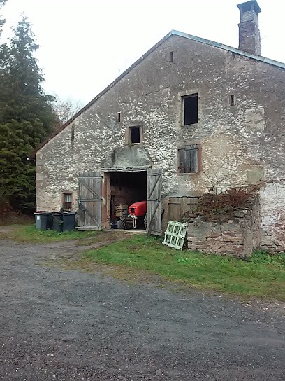 Office National Des Forêts (O.N.F), Elagueur à Moyenmoutier