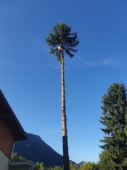 L'écureuil du Vercors, Elagueur à Vif
