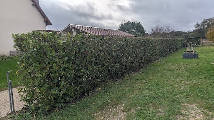 Fleury Beauce Paysagiste, Elagueur à Sougy