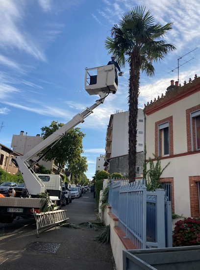 Elagage Occitan, Elagueur à Montbeton