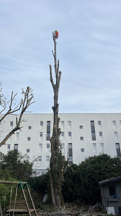 ETS VISE - Élagage abattage paysagiste yvelines 78, Elagueur à Médan