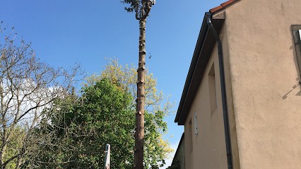 Teddy élagage, Elagueur à Vesoul