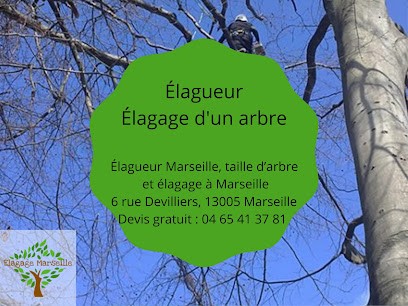 Élagueur Marseille, taille d’arbre et élagage à Marseille, Elagueur à Marseille 05