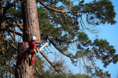 Elorn Environnement, Elagueur à Loperhet