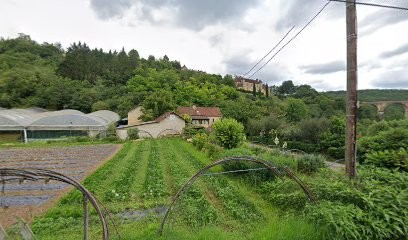 A.G.E Elagage, Elagueur à Mauzens-et-Miremont