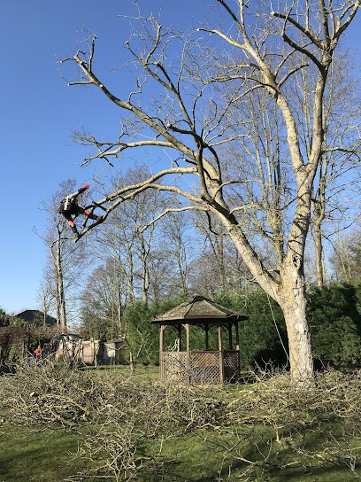 L’élagueur ô cœur de l’arbre, Elagueur à Wattignies