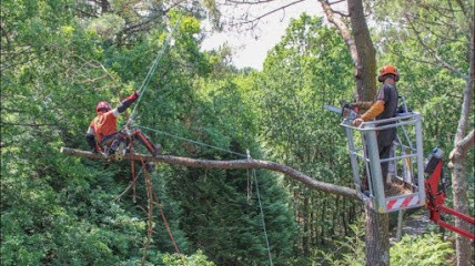 SARL Raynal Elagage & Travaux Environnementaux, Elagueur à Theix-Noyalo