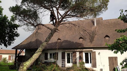 Elagage Nadot, Elagueur à Saint-André-de-Double