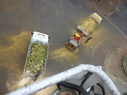 Naturea élagage/ abattage/dessouchage, Elagueur à Onnaing