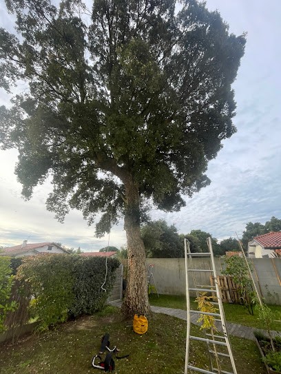 AcroCordes, Elagueur à Oeyreluy