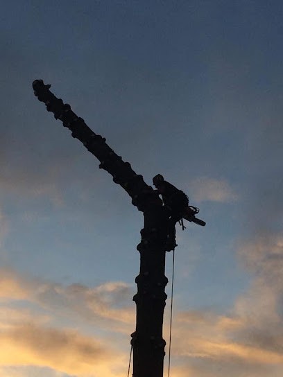 L'écureuil doubiste, Elagueur à Saules