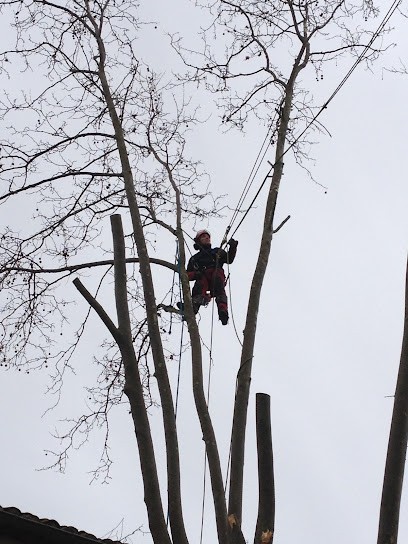 D Une Branche A L Autre, Elagueur à Saint-Jean-de-Fos
