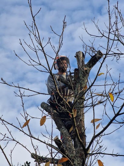 FG élagage - Votre élagueur grimpeur - abattage - étêtage arbres - broyage déchets verts - Votre cordiste CQP Cordiste, Elagueur à Négrondes