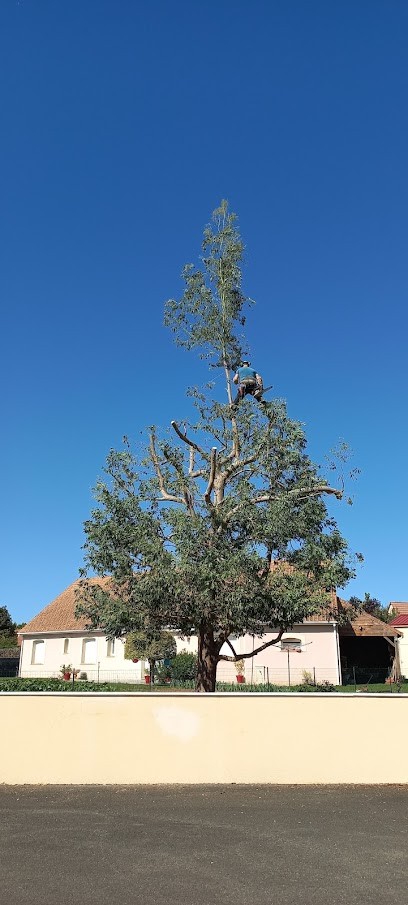 Ilex Elagage, Elagueur à Teloché