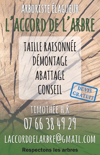 L'Accord de l'arbre - Arboriste élagueur, Elagueur à Tence