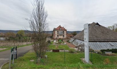 Alternative Environnement, Elagueur à Monswiller