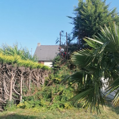 Passion Canopée, Elagueur au Cellier
