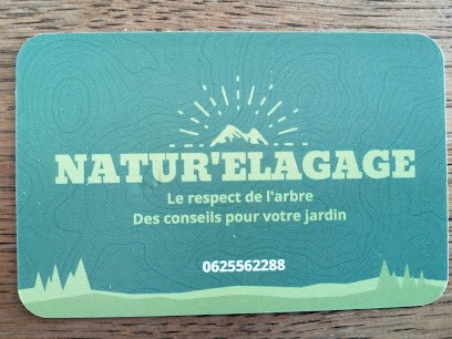 NATUR'ELAGAGE, Elagueur à Oudon