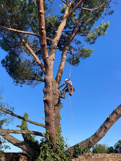 Naturel Arbre, Elagueur à Maisdon-sur-Sèvre