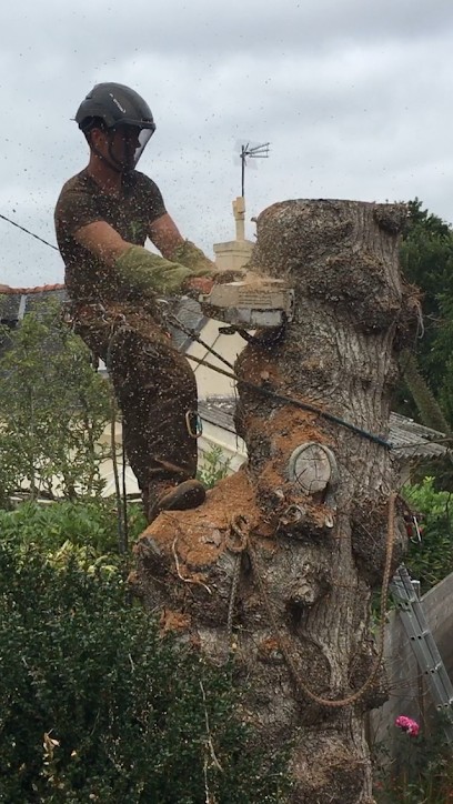 Wezenn Elagage, Elagueur à Plougastel-Daoulas