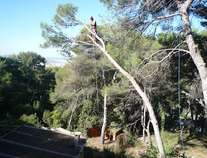 ELAGAGE - élagueur/grimpeur - VERTICAL, Elagueur à Sète