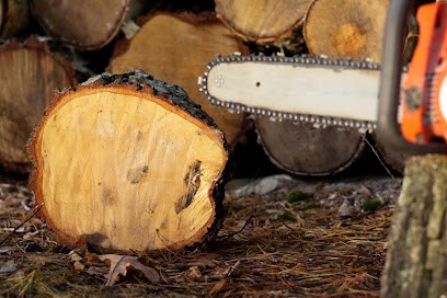 Siegler Elagage Elagueur - Paysagiste 27 | Abattage Taille D'arbres Haies Jardin Débroussaillage 27 Eure Damville Breteuil, Elagueur à Mesnils-sur-Iton