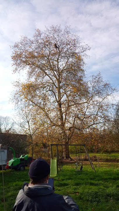 Arboré Passion, Elagueur à La Boissière-en-Gâtine