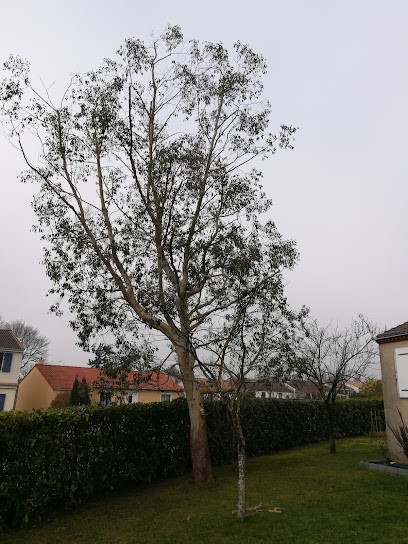 Ami Des Bois Elagage, Elagueur au Pellerin