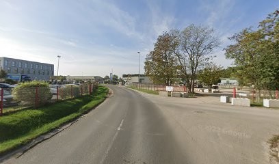 Netten, Elagueur à Nogent-le-Phaye