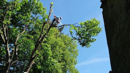 Arbres Et Vous, Elagueur à Pierre-Châtel