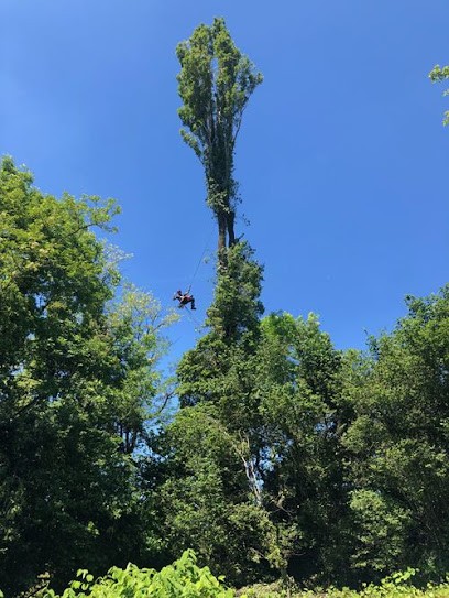 Natur'Amax, Elagueur à Valencin