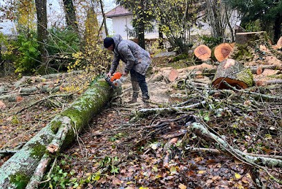 Les Compagnons De Votre Extérieur - Elagage, Elagueur à Louhans