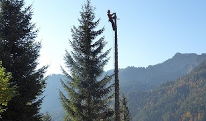 EURL Elagage du Gavot, Elagueur à Thollon-les-Mémises
