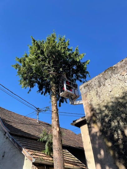 EDEL RAPHAEL : Élagage et Espaces verts, Elagueur à Stotzheim
