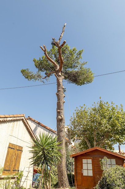CROZAT Gérald Arboriste Grimpeur Taille Et Soins Aux Arbres, Elagueur à Septèmes-les-Vallons