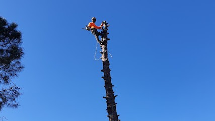 Marchetti élagage, Elagueur à Vidauban