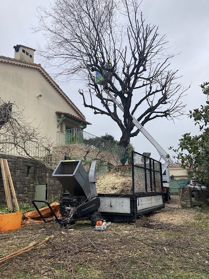 PERREAU ESPACES VERTS, Elagueur à Saint-Martin-le-Vinoux